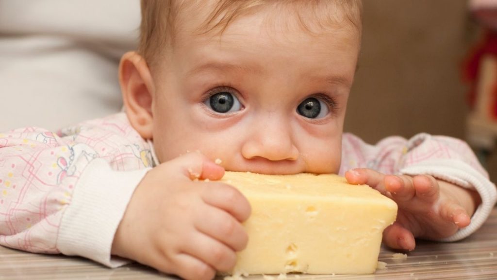which cheese can baby eat