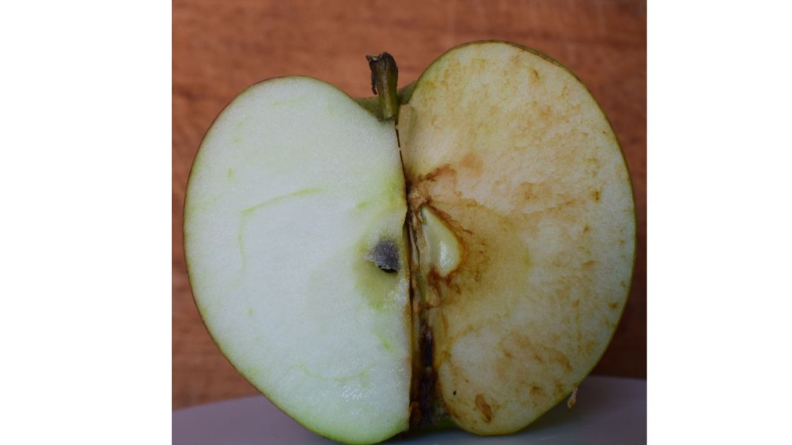 oxidized apple