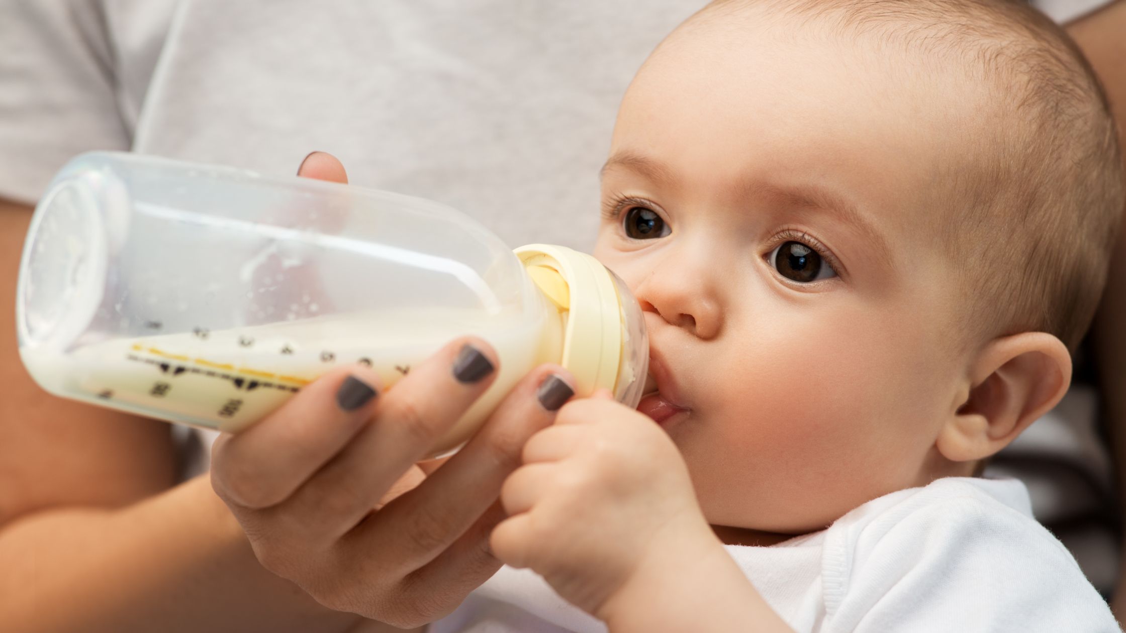 What is better for baby formula: distilled water or purified water